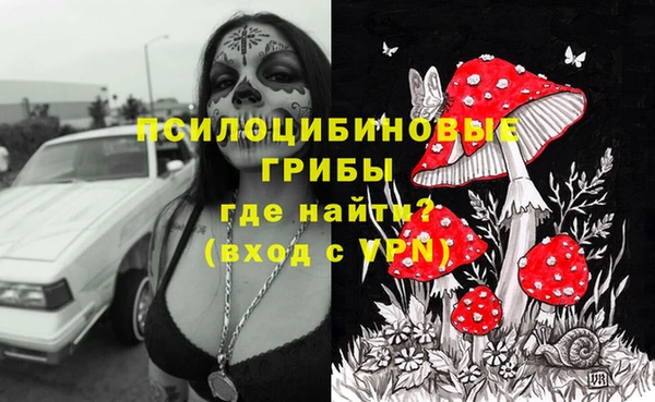 Альфа ПВП Верея