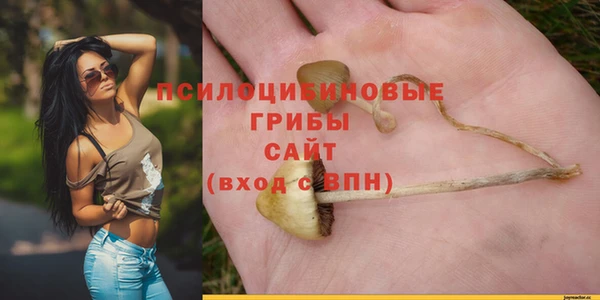 винт Верхний Тагил