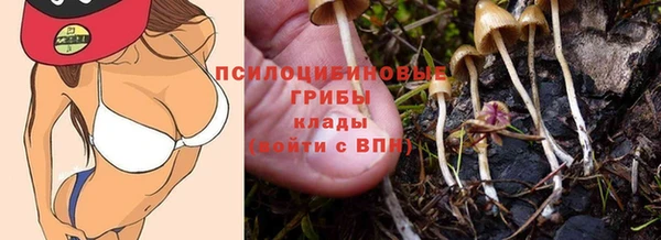 крисы Верхнеуральск