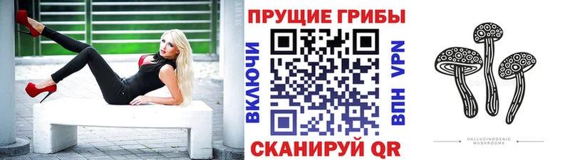 Псилоцибиновые грибы MAGIC MUSHROOMS  Купить  Назарово 